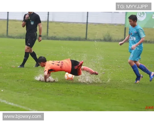 胡方志足球：探索中国足球的未来与发展之路